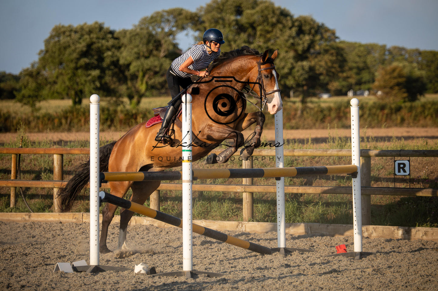 Home Farm Clear Round Jumping- 29th July 2026