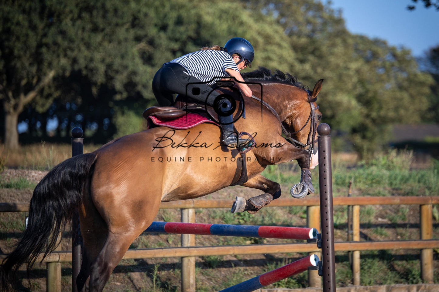 Home Farm Clear Round Jumping- 29th July 2026