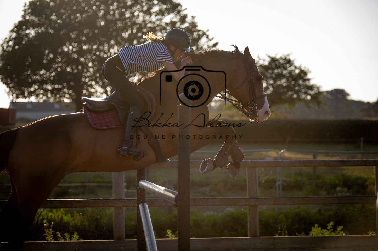 Home Farm Clear Round Jumping- 29th July 2026