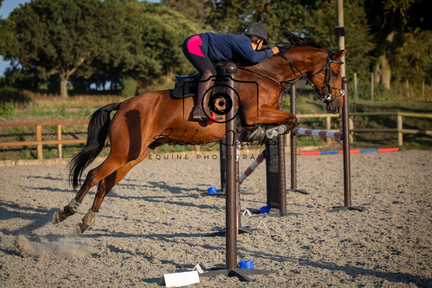 Home Farm Clear Round Jumping- 29th July 2026