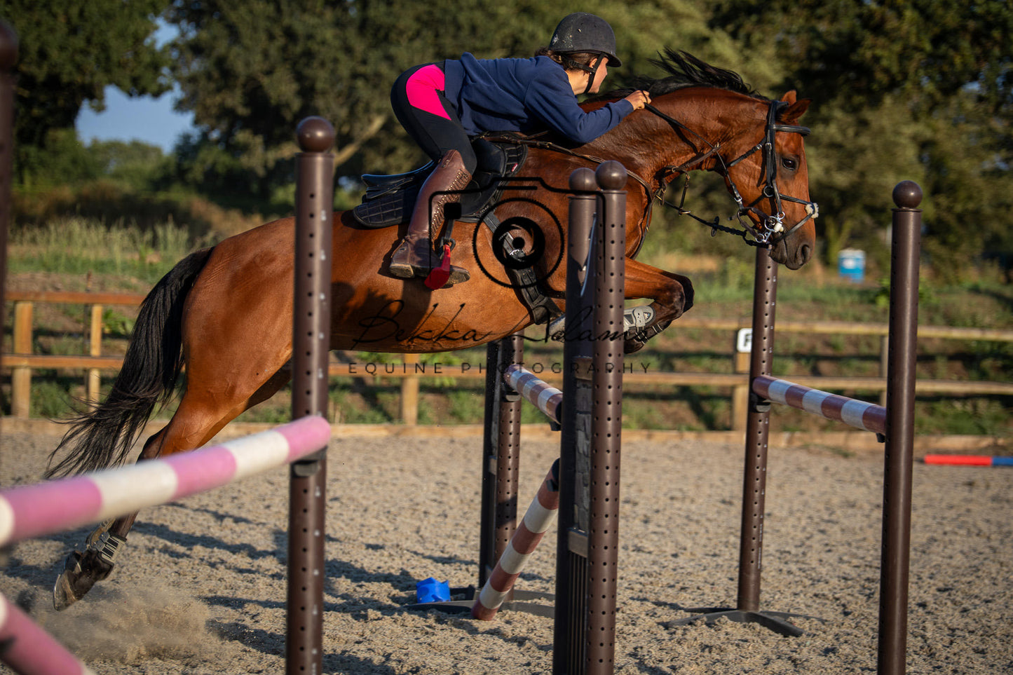 Home Farm Clear Round Jumping- 29th July 2026
