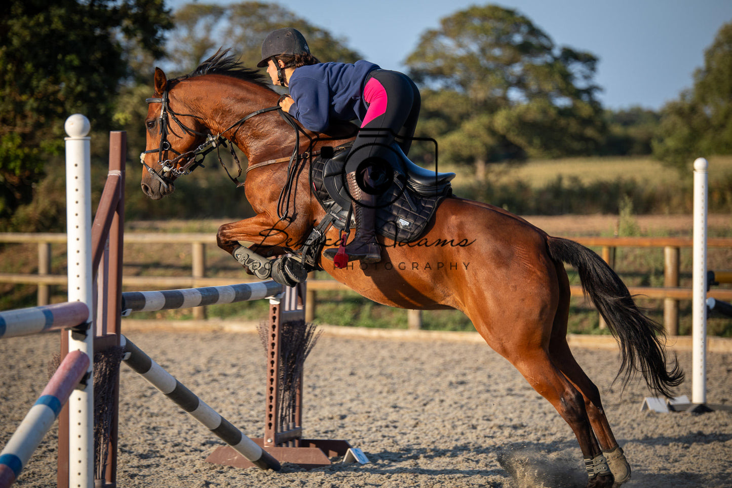 Home Farm Clear Round Jumping- 29th July 2026