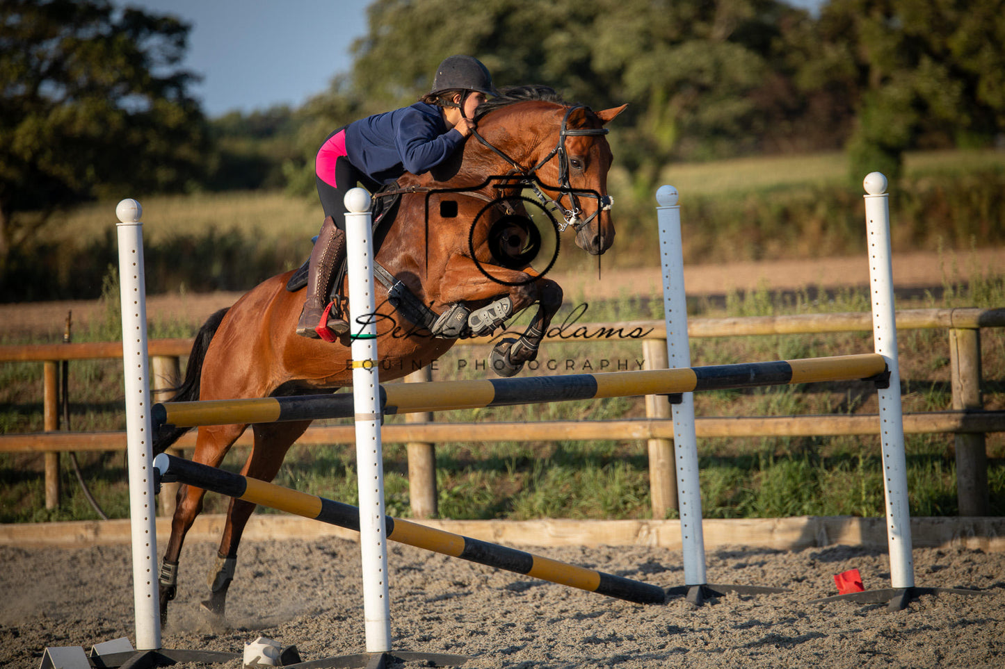 Home Farm Clear Round Jumping- 29th July 2026