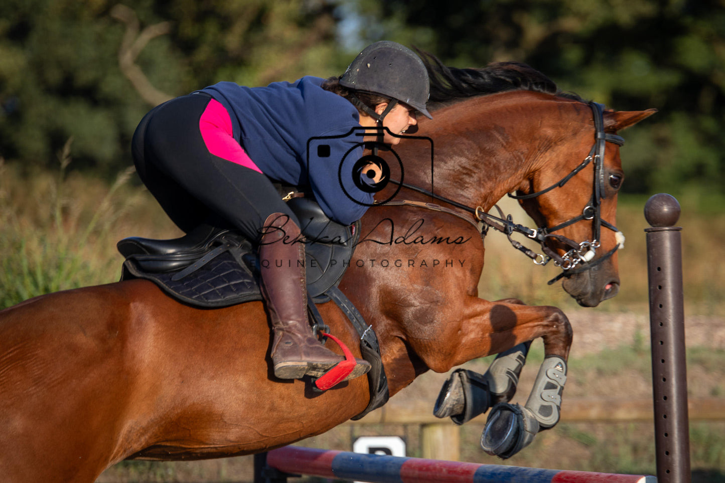 Home Farm Clear Round Jumping- 29th July 2026