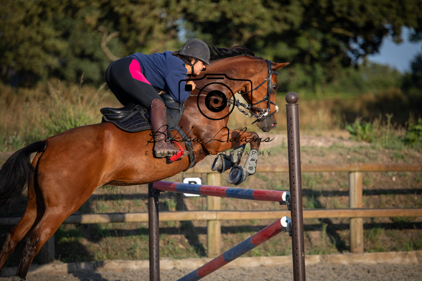 Home Farm Clear Round Jumping- 29th July 2026