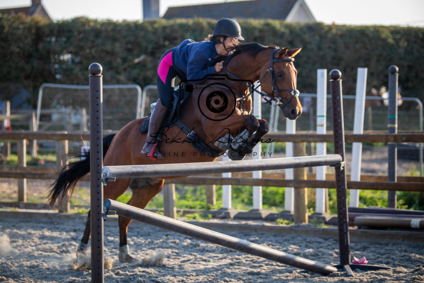 Home Farm Clear Round Jumping- 29th July 2026