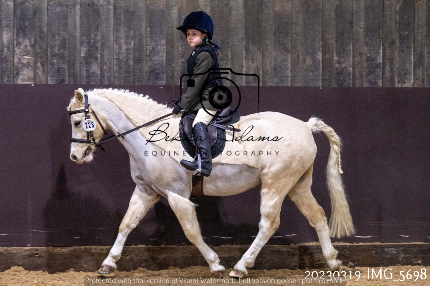 Home Farm Showing 19th March (Ridden) Pt 1