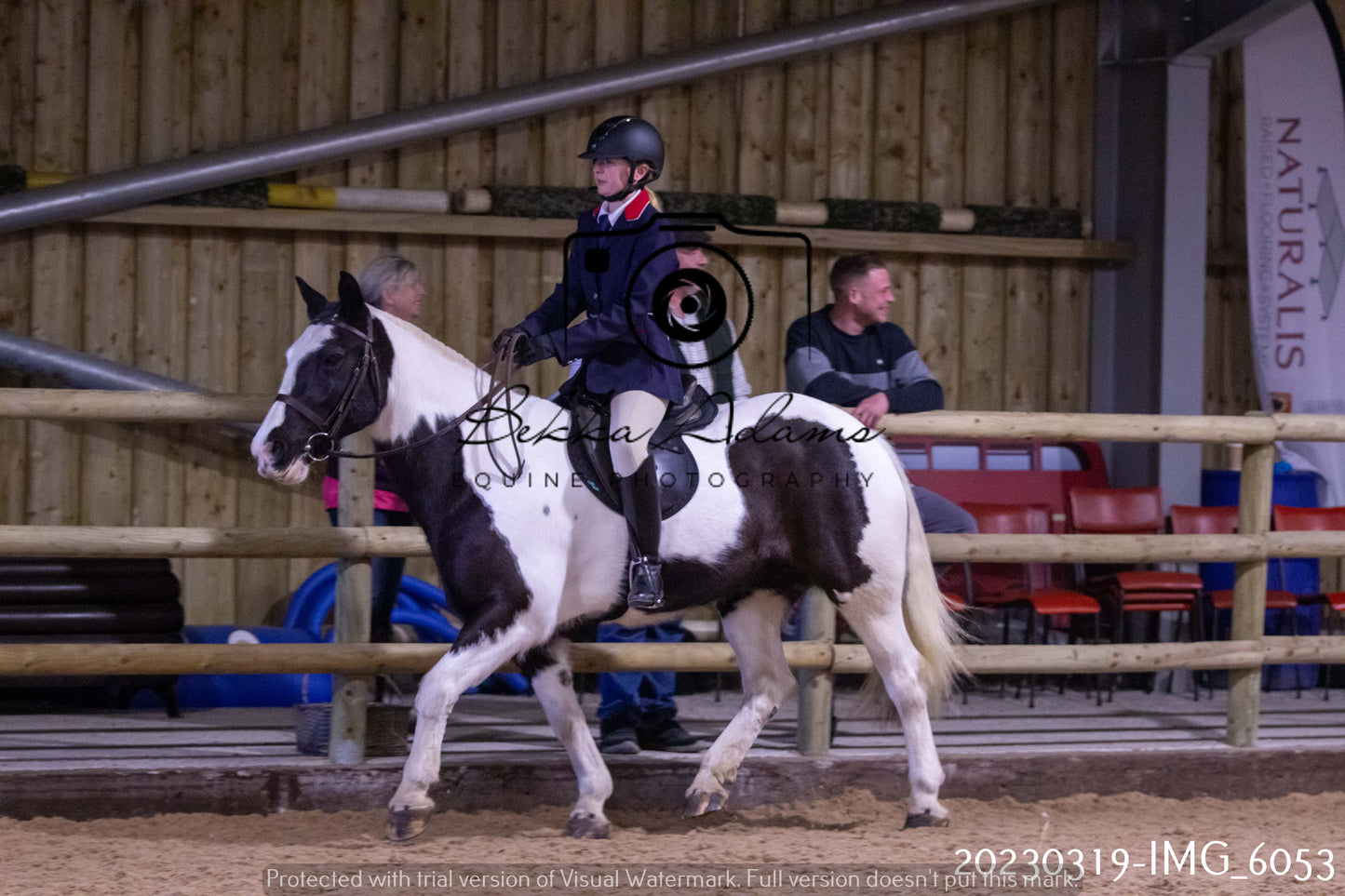 Home Farm Showing 19th March (Ridden) Pt 1