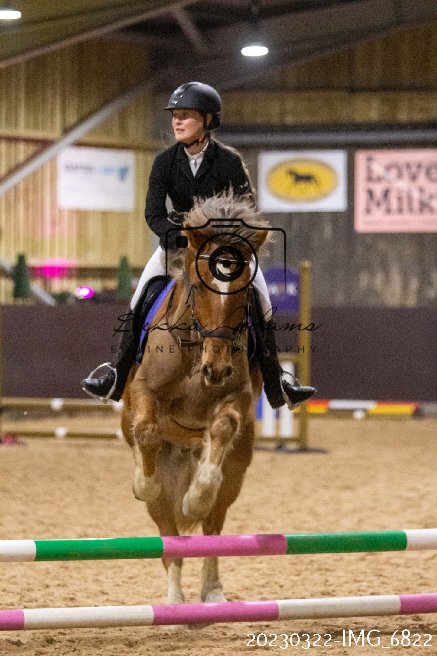 Home Farm Show Jumping 22nd March