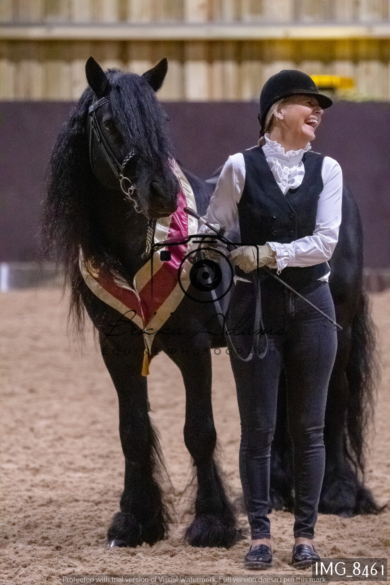 JHOYS In Hand Showing