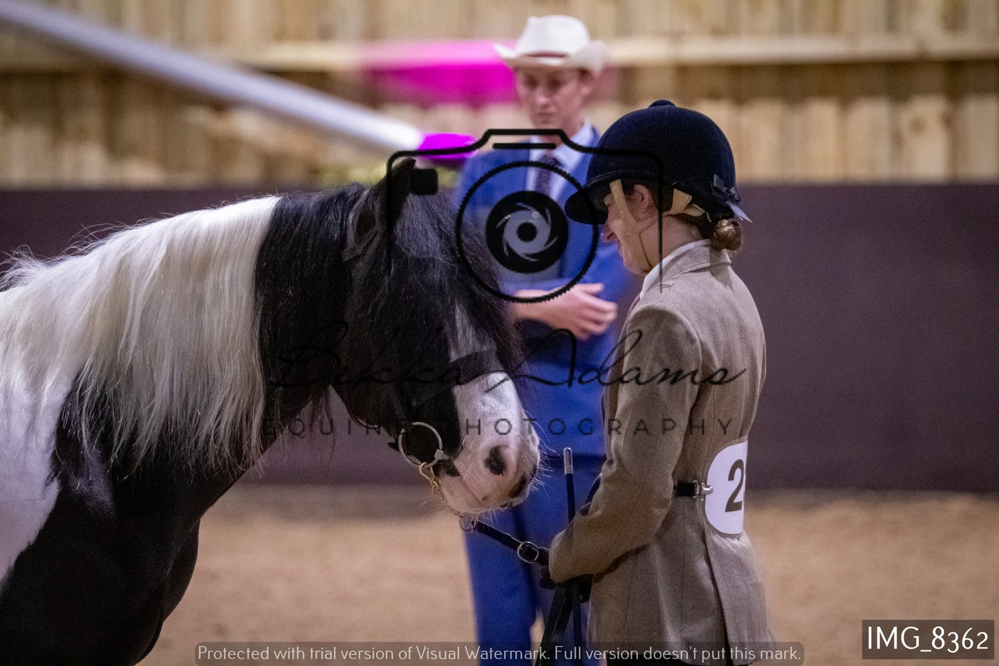 JHOYS In Hand Showing