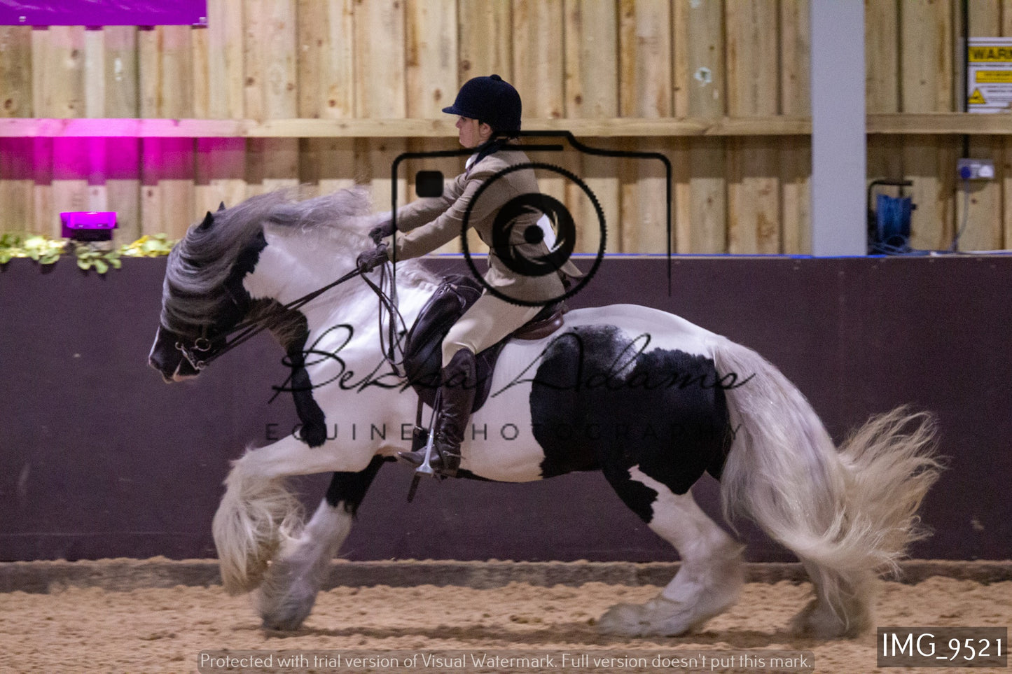 JHOYS Ridden Showing Group 1