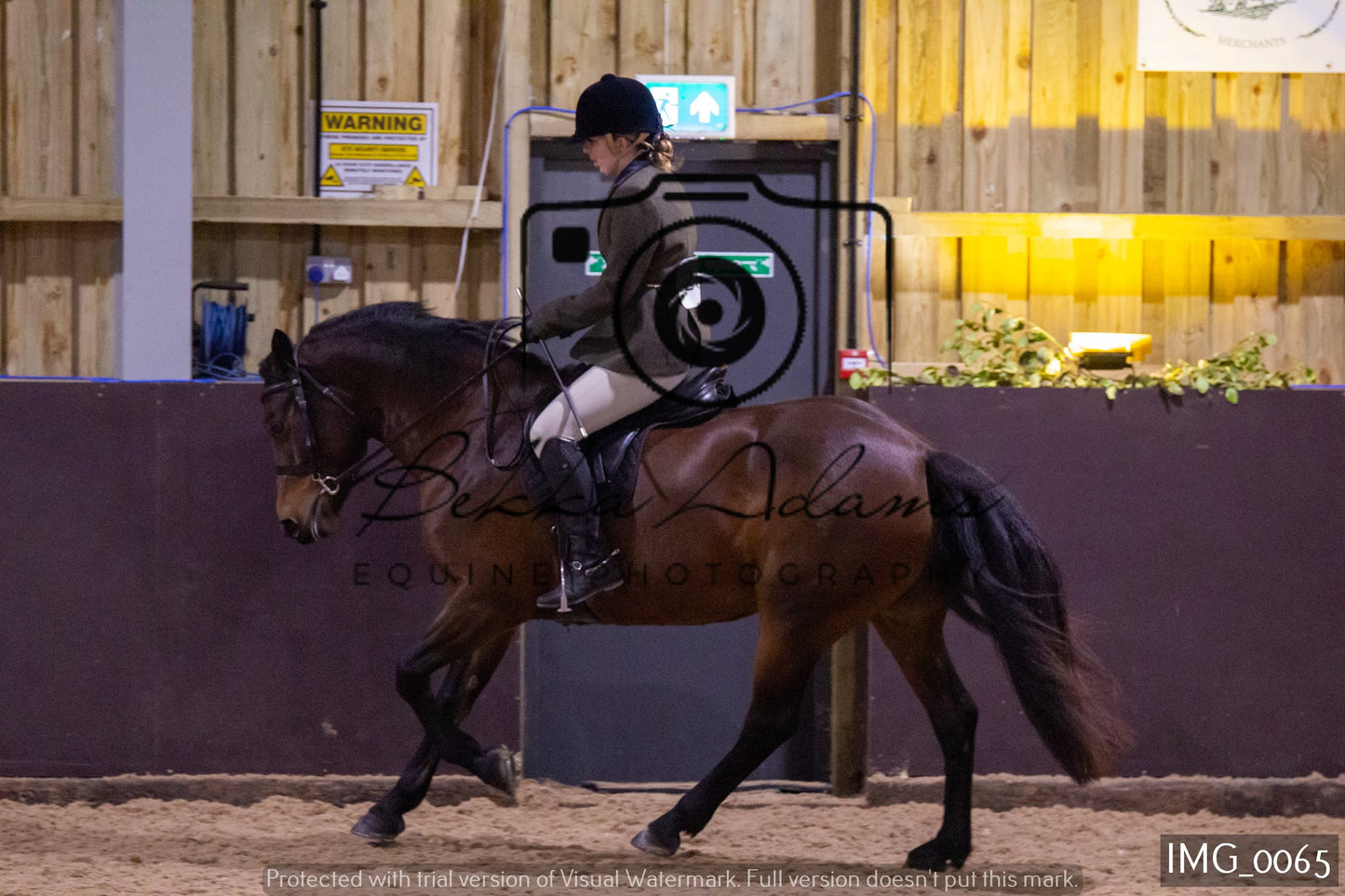 JHOYS Ridden Showing Group 1