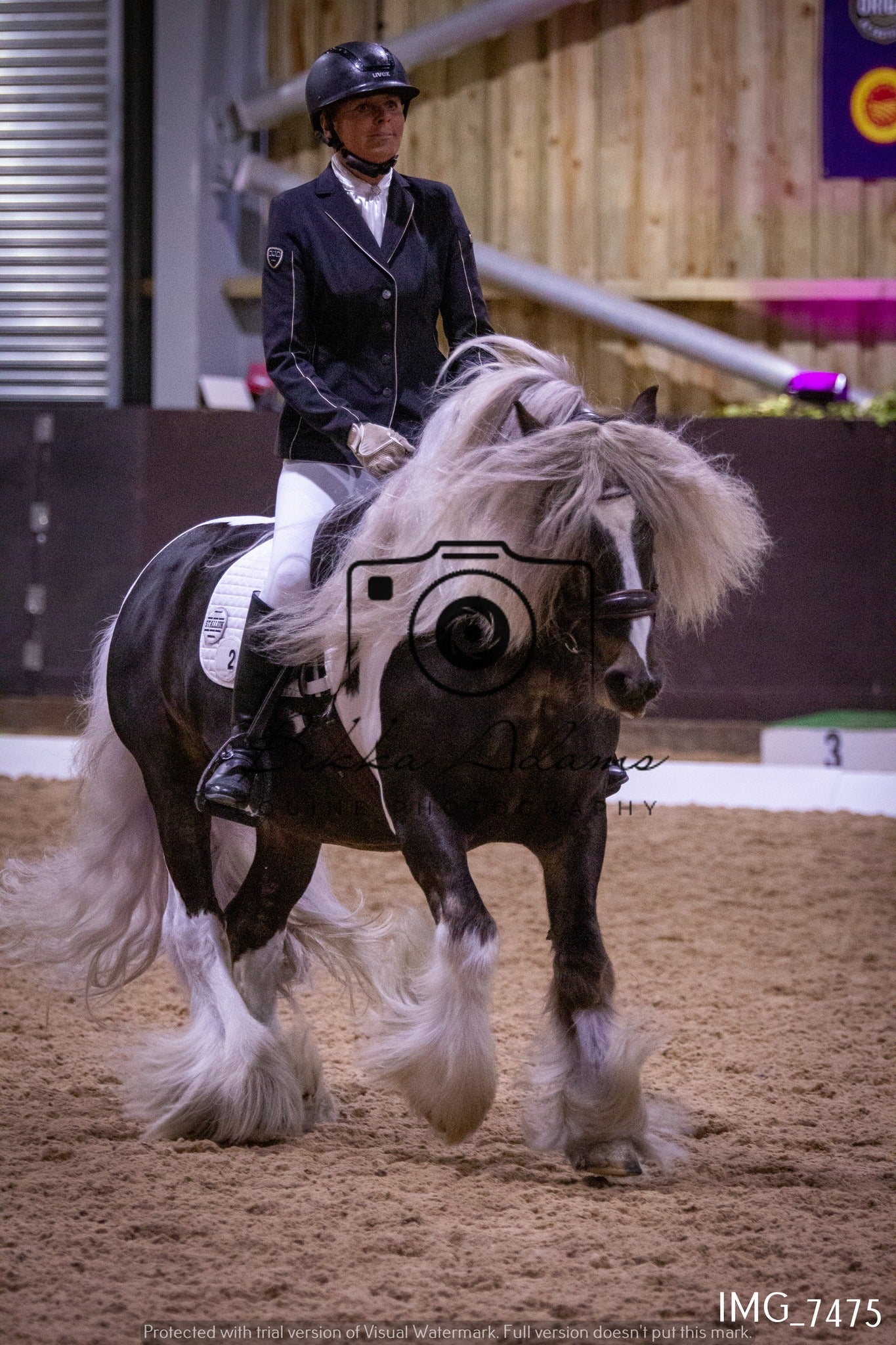 JHOYS Dressage