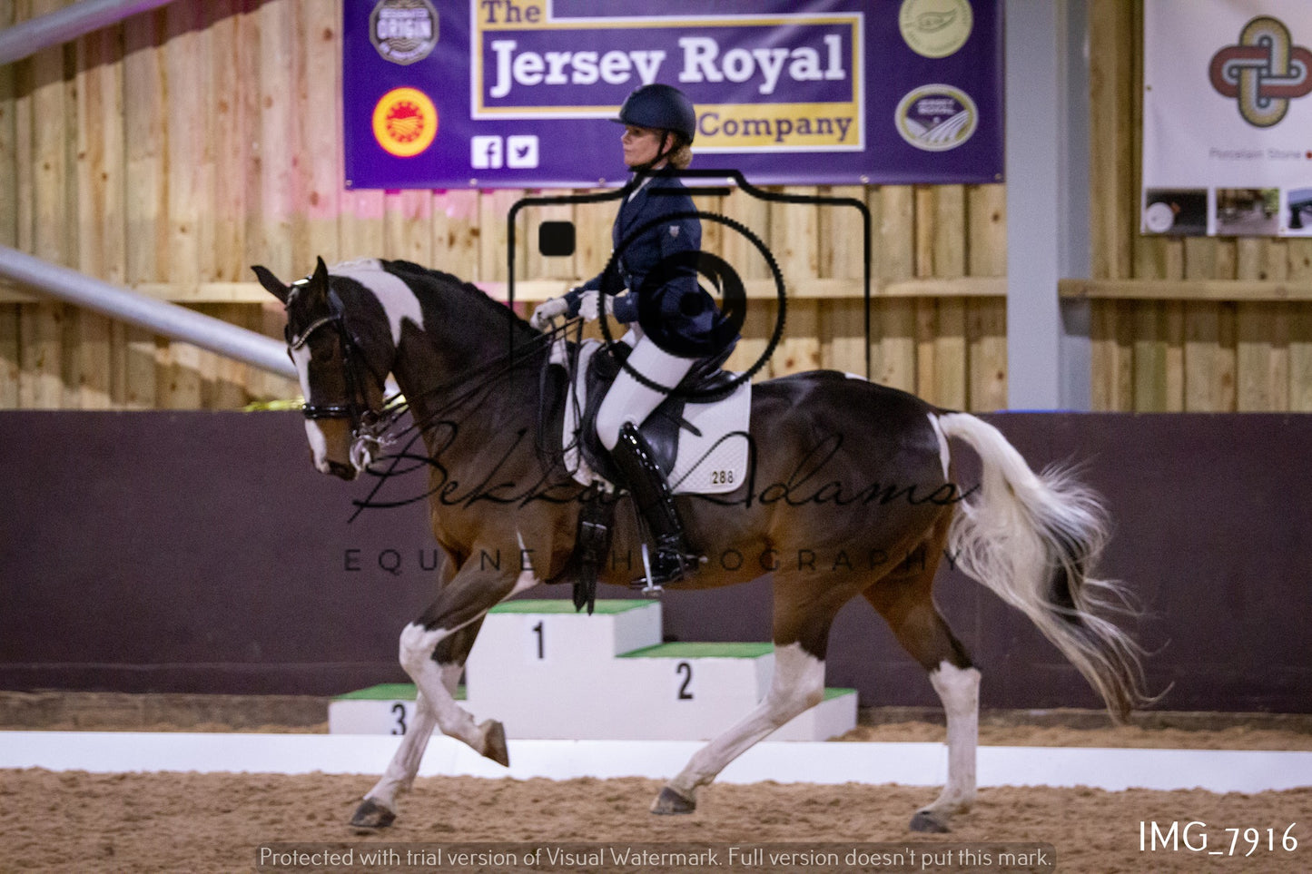 JHOYS Dressage