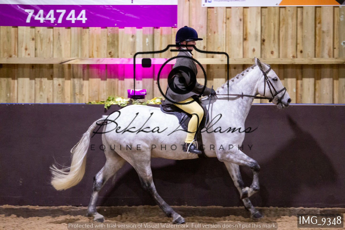 JHOYS Ridden Showing Group 1