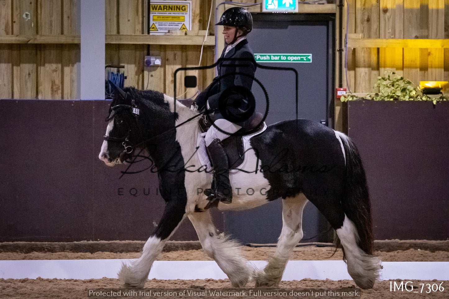 JHOYS Dressage