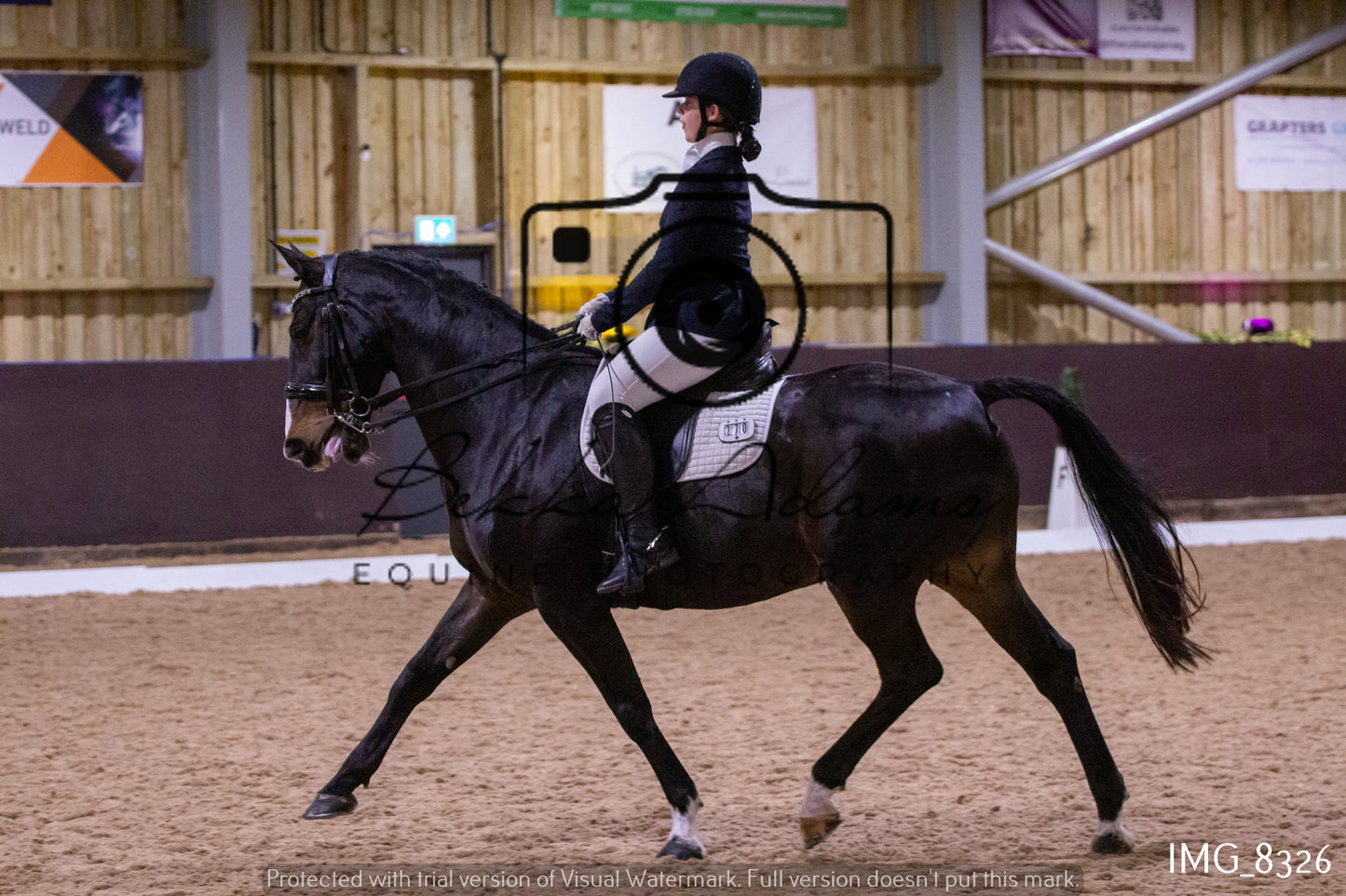 JHOYS Dressage