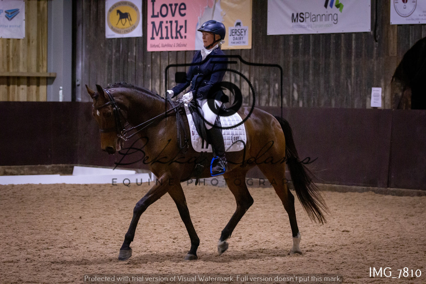 JHOYS Dressage