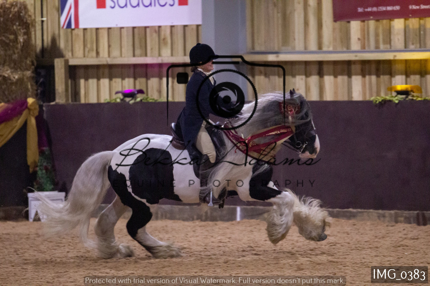 JHOYS Ridden Showing Group 1