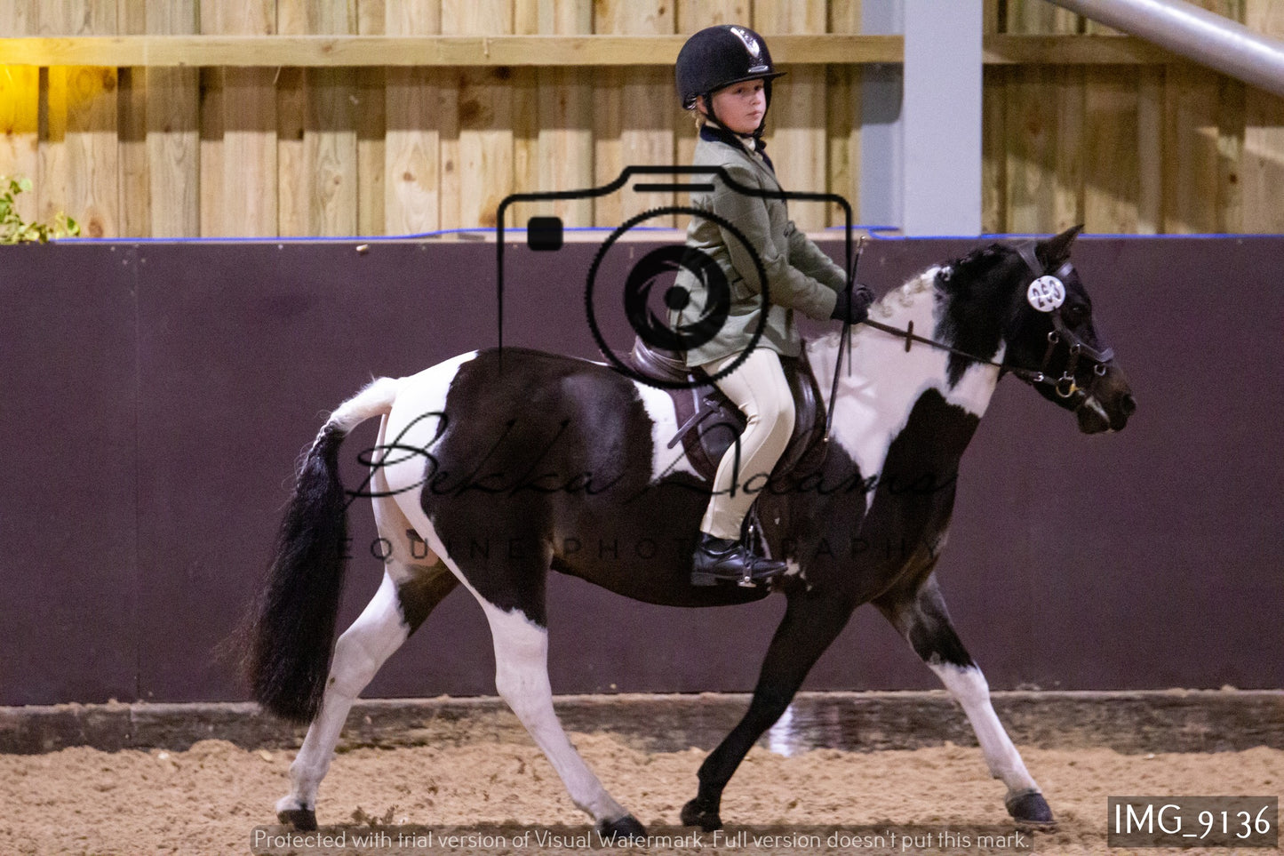 JHOYS Ridden Showing Group 1