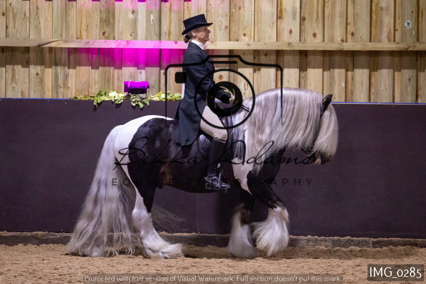 JHOYS Ridden Showing Group 1