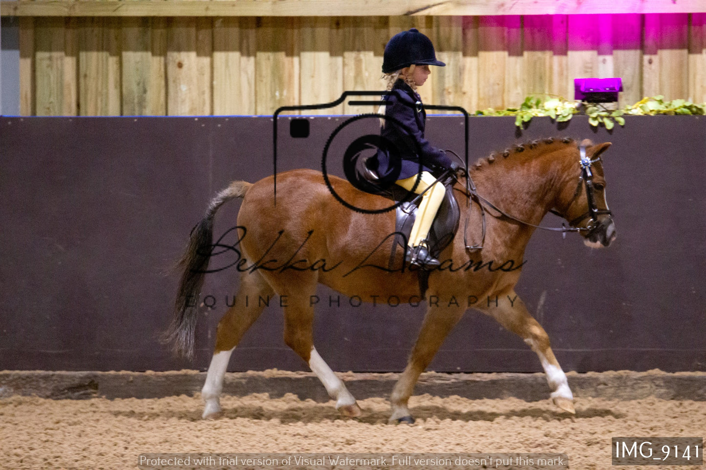 JHOYS Ridden Showing Group 1