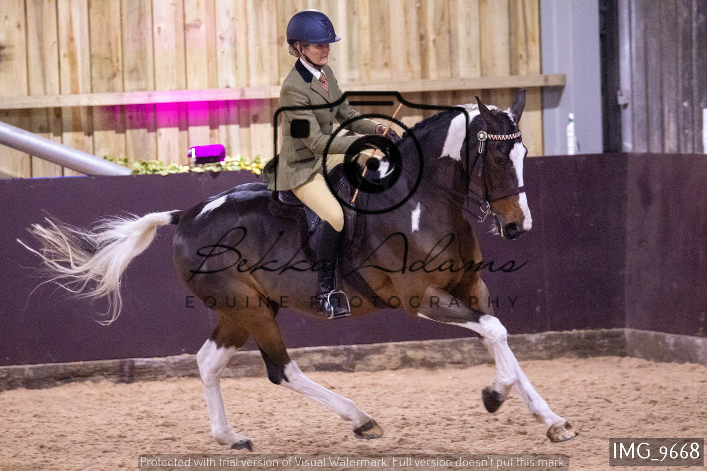 JHOYS Ridden Showing Group 1