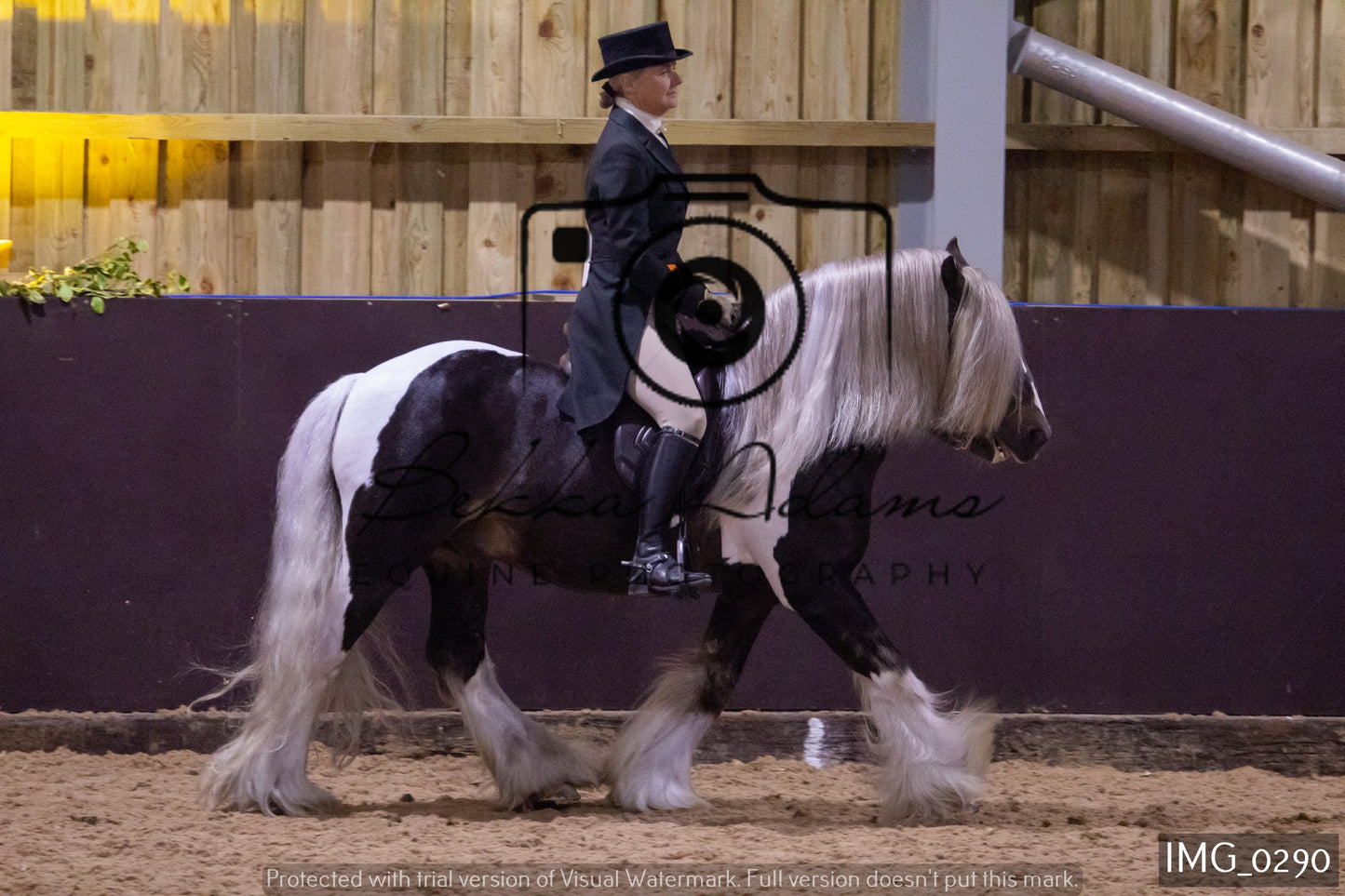 JHOYS Ridden Showing Group 1