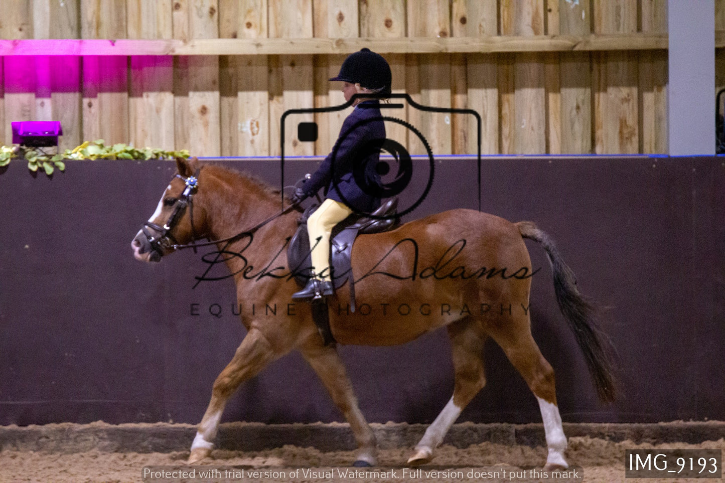 JHOYS Ridden Showing Group 1