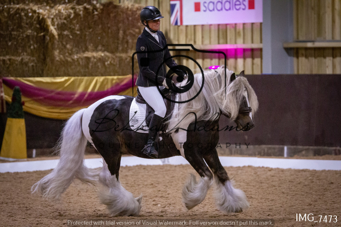 JHOYS Dressage