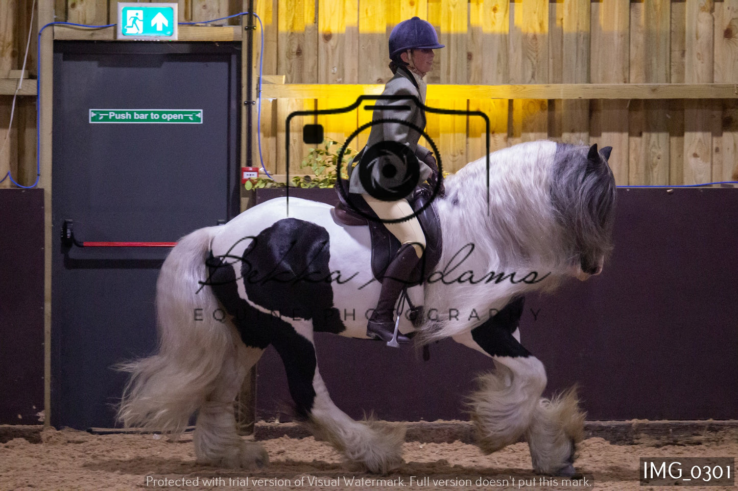 JHOYS Ridden Showing Group 1