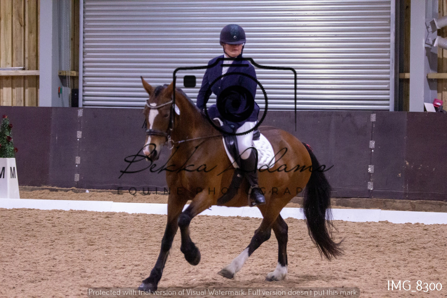 JHOYS Dressage