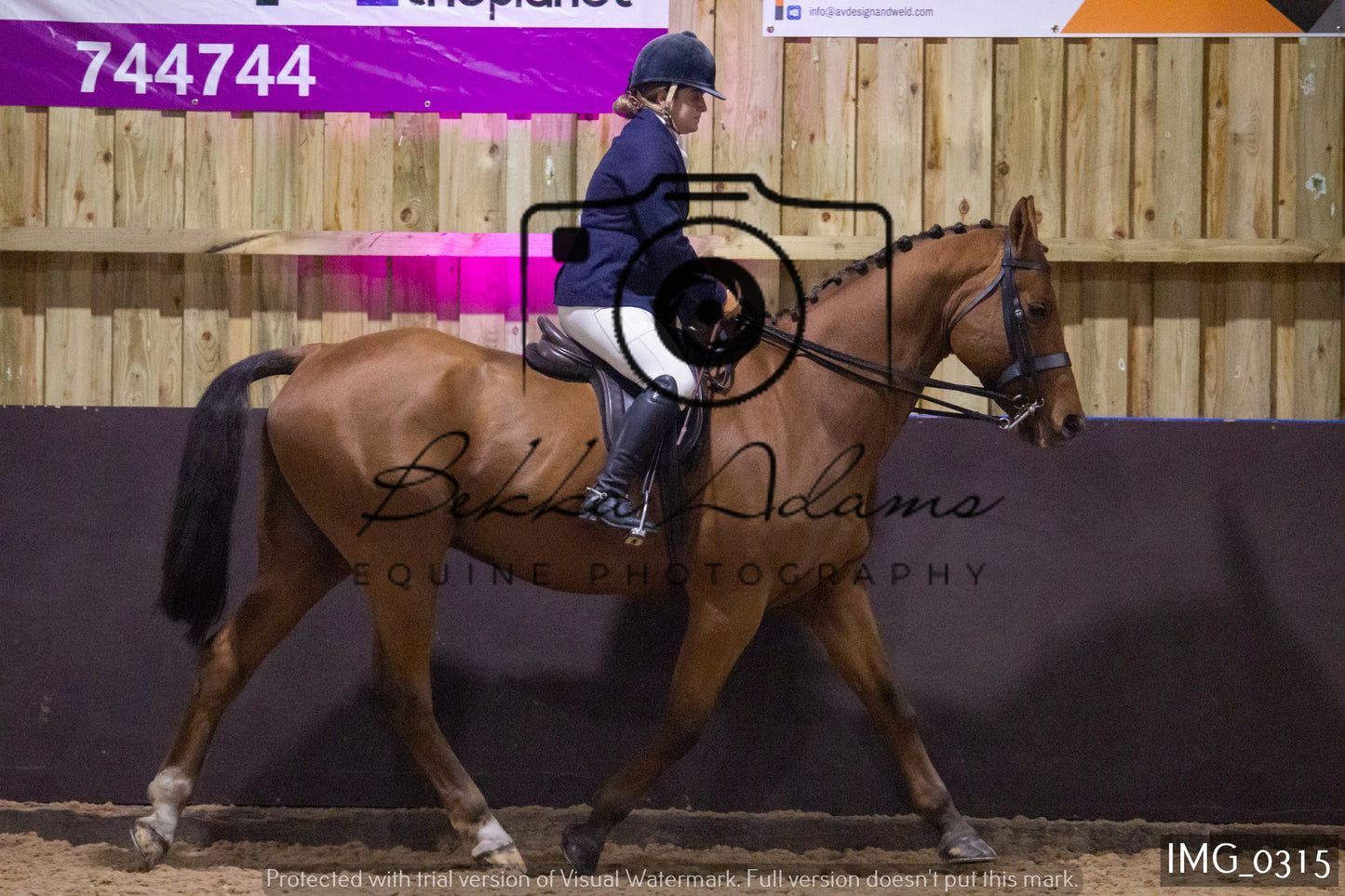 JHOYS Ridden Showing Group 1