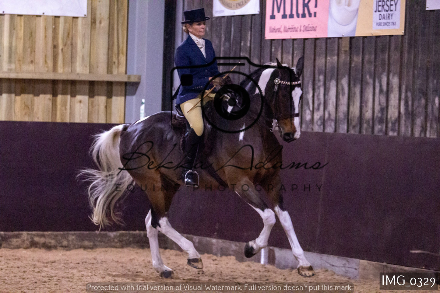 JHOYS Ridden Showing Group 1