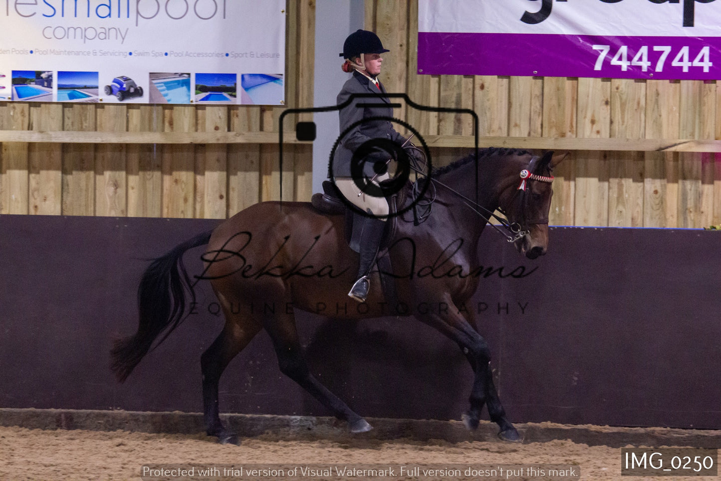 JHOYS Ridden Showing Group 1