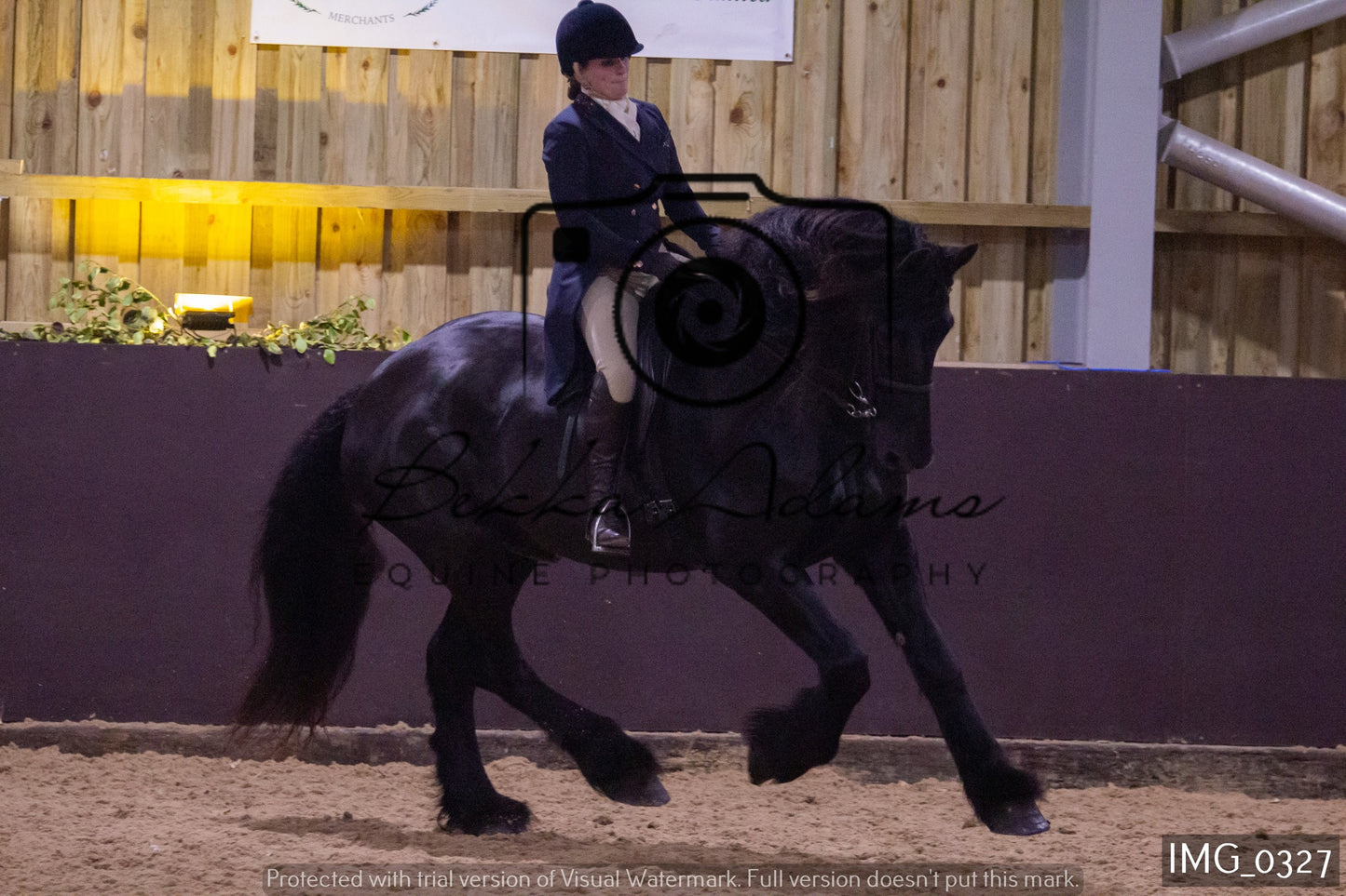 JHOYS Ridden Showing Group 1