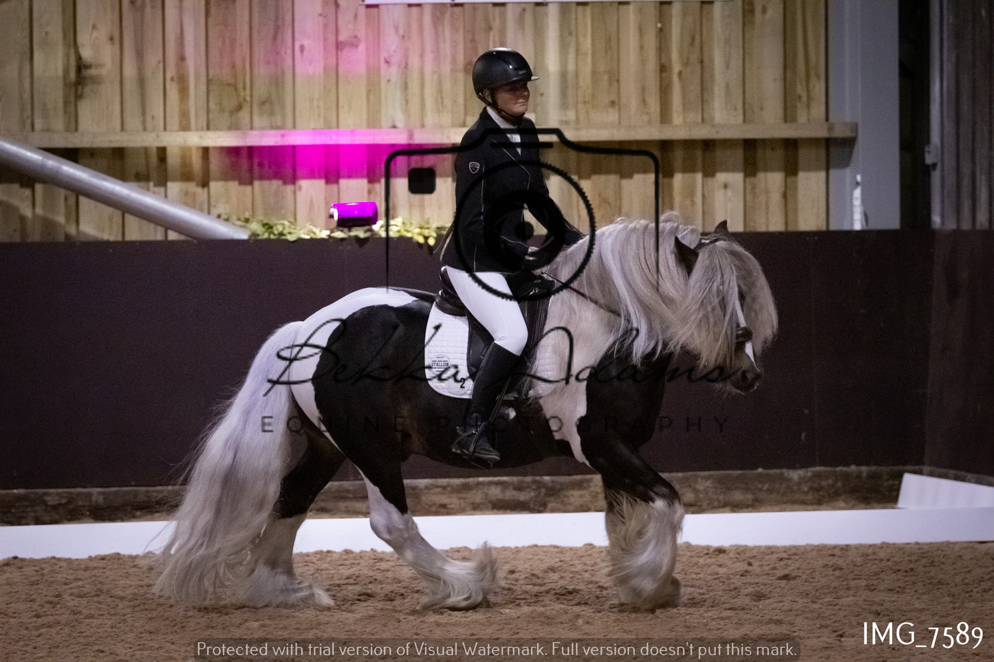 JHOYS Dressage