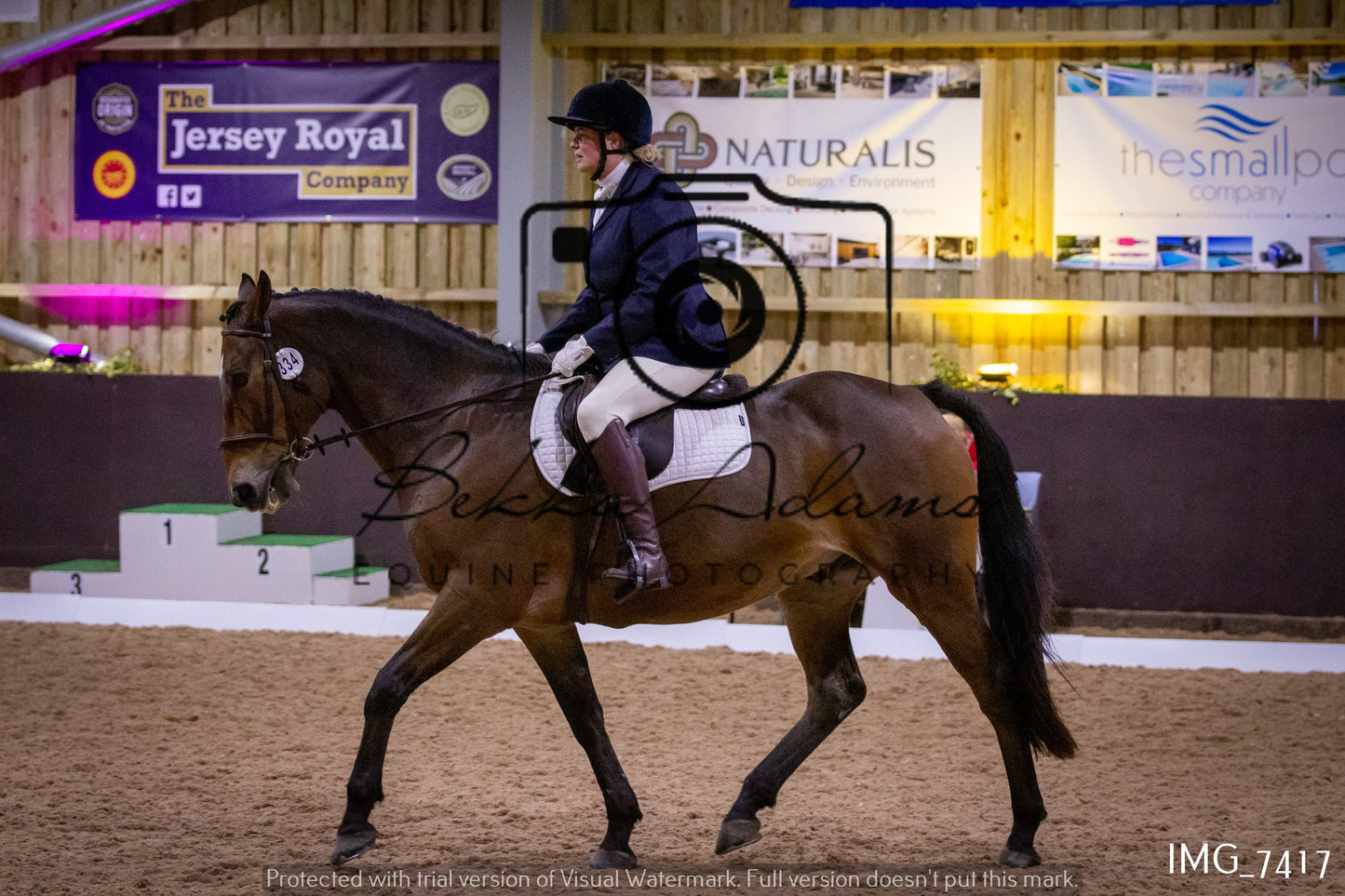 JHOYS Dressage