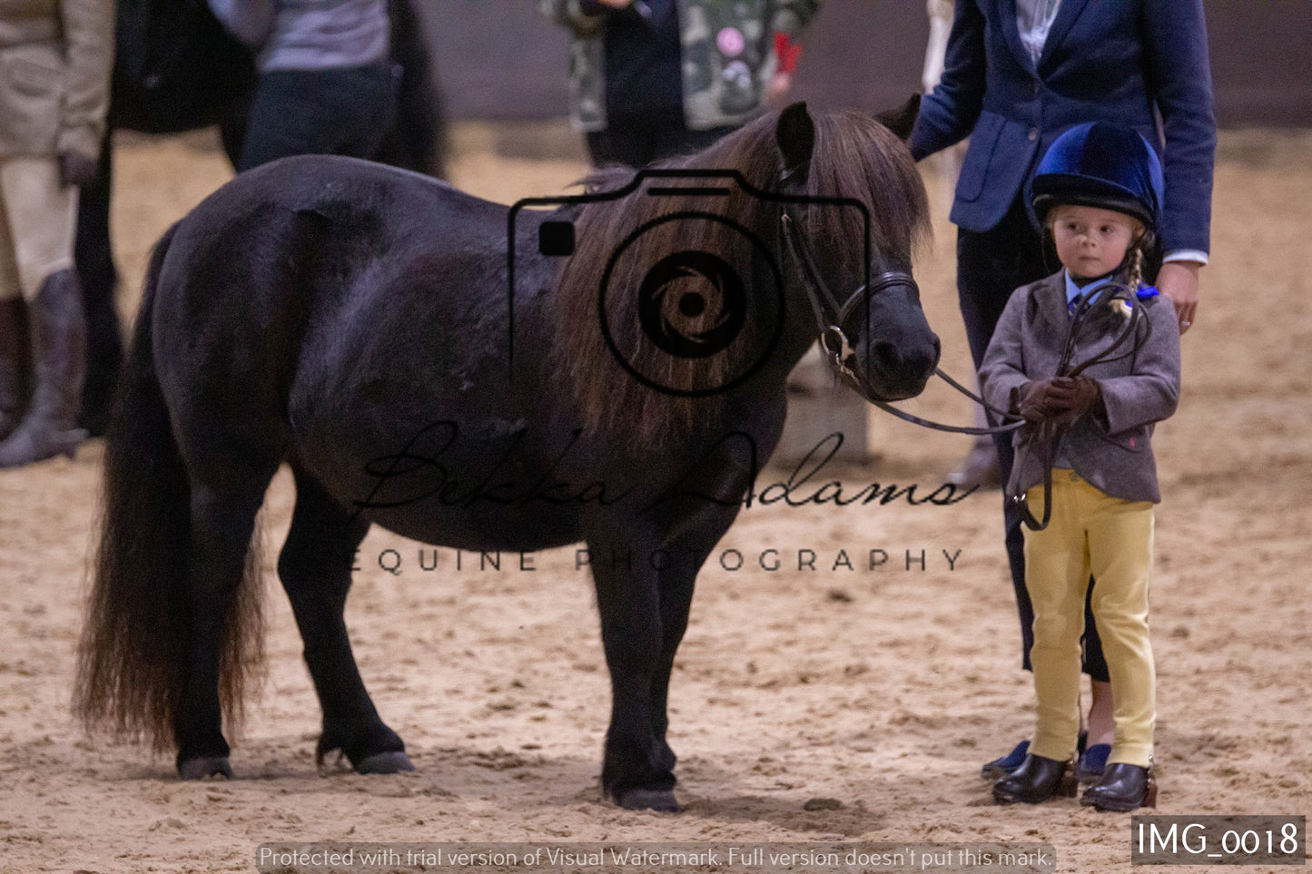JHOYS Ridden Showing Group 1