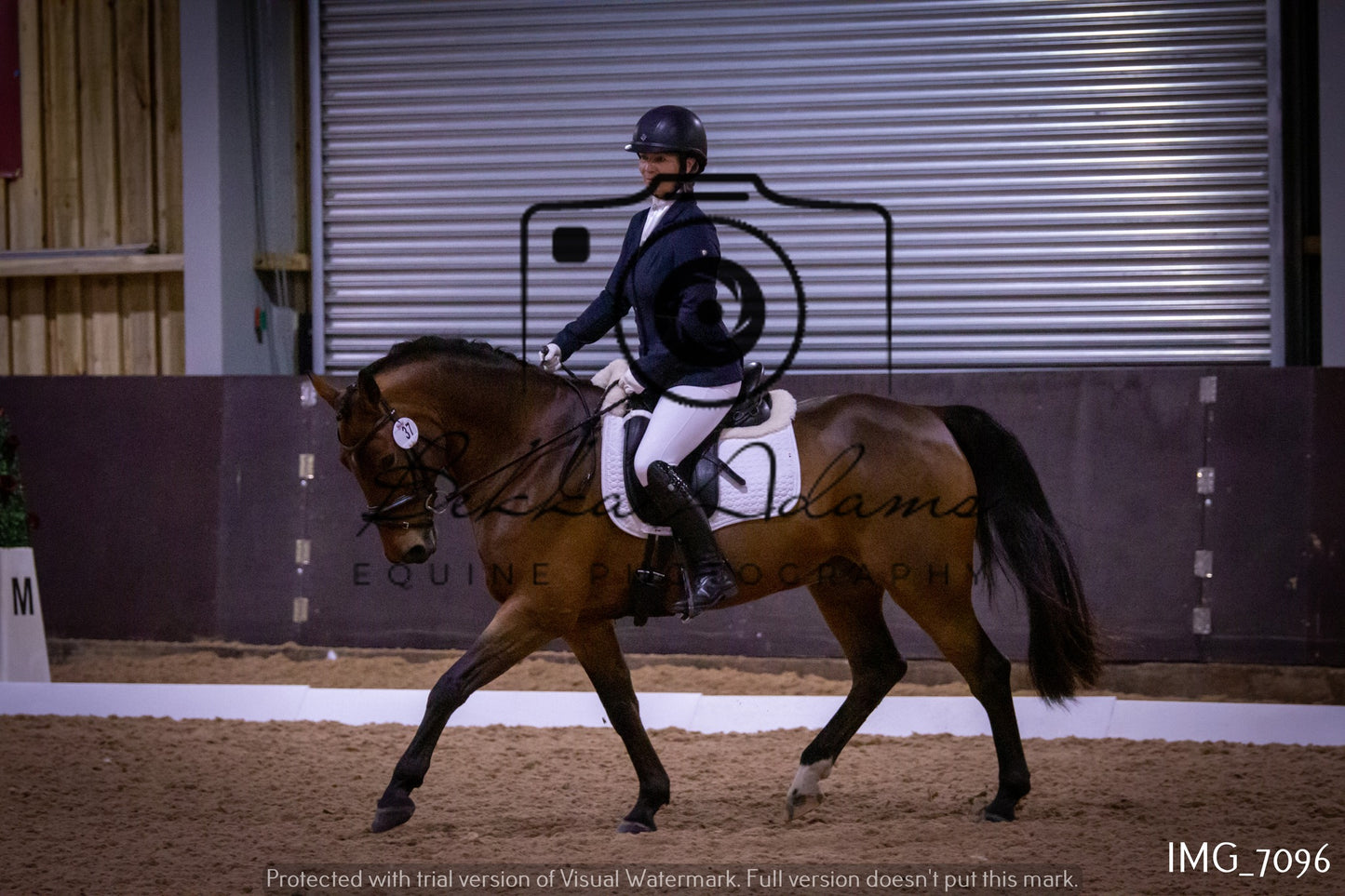 JHOYS Dressage