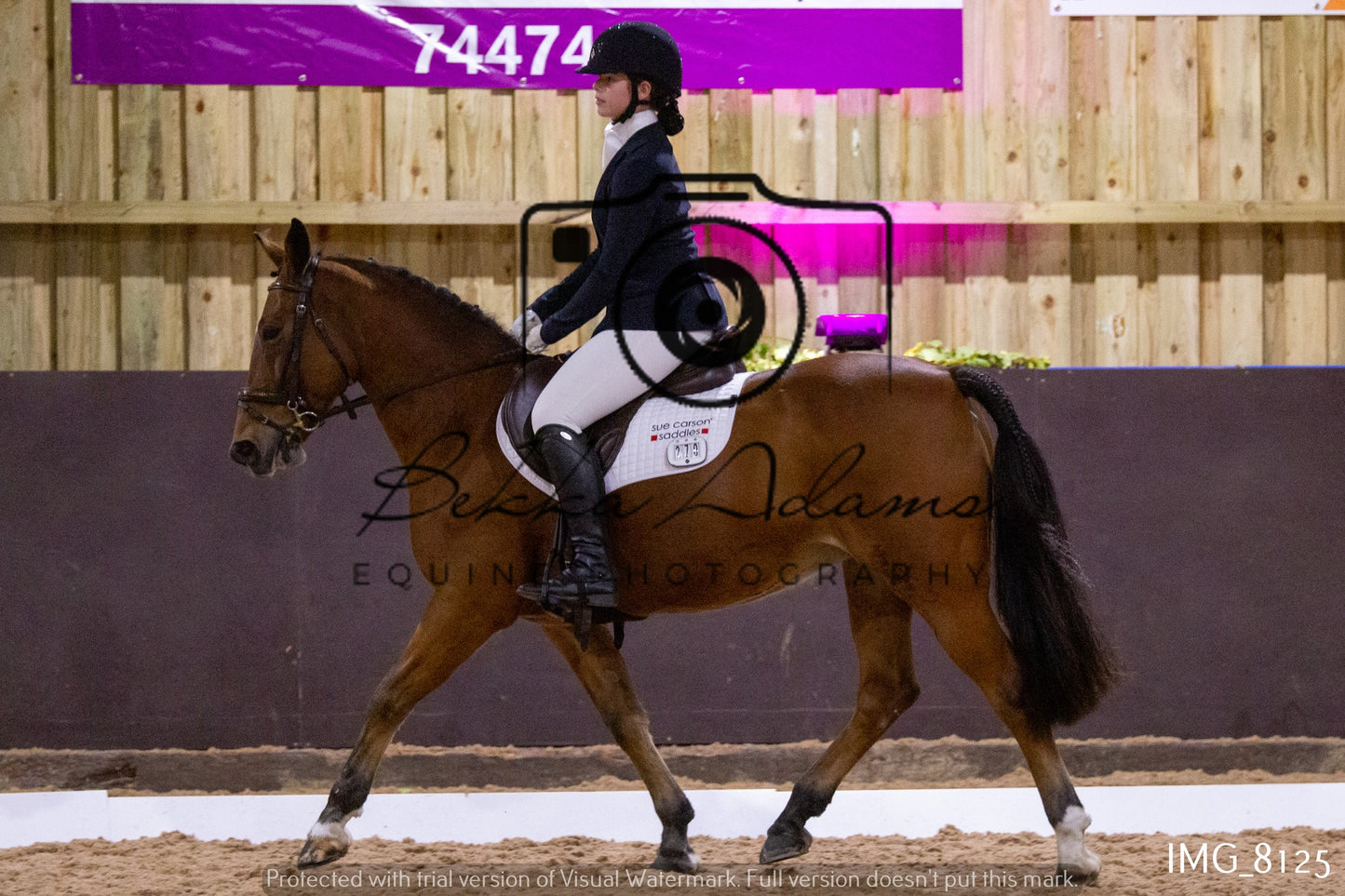 JHOYS Dressage