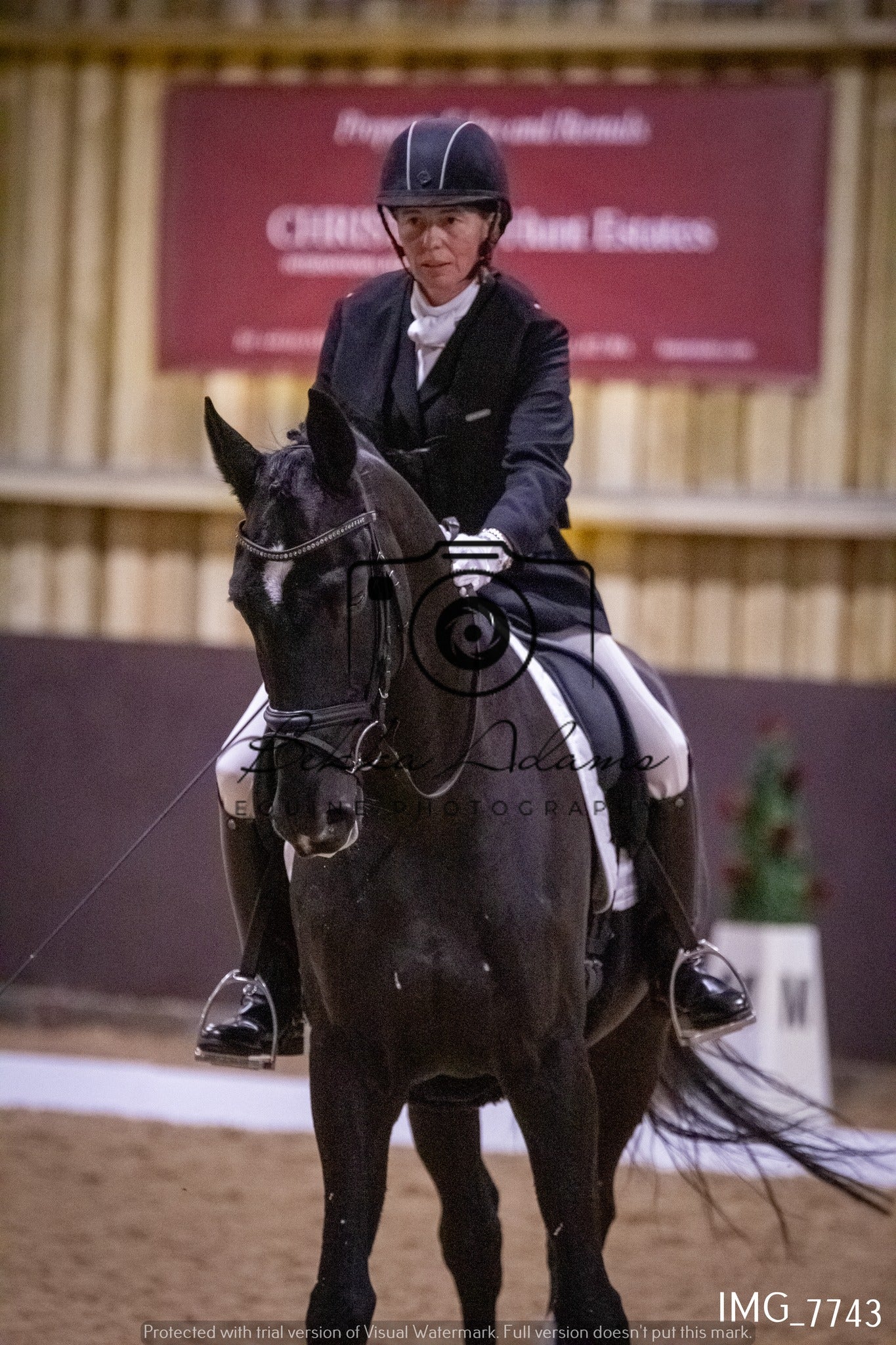 JHOYS Dressage