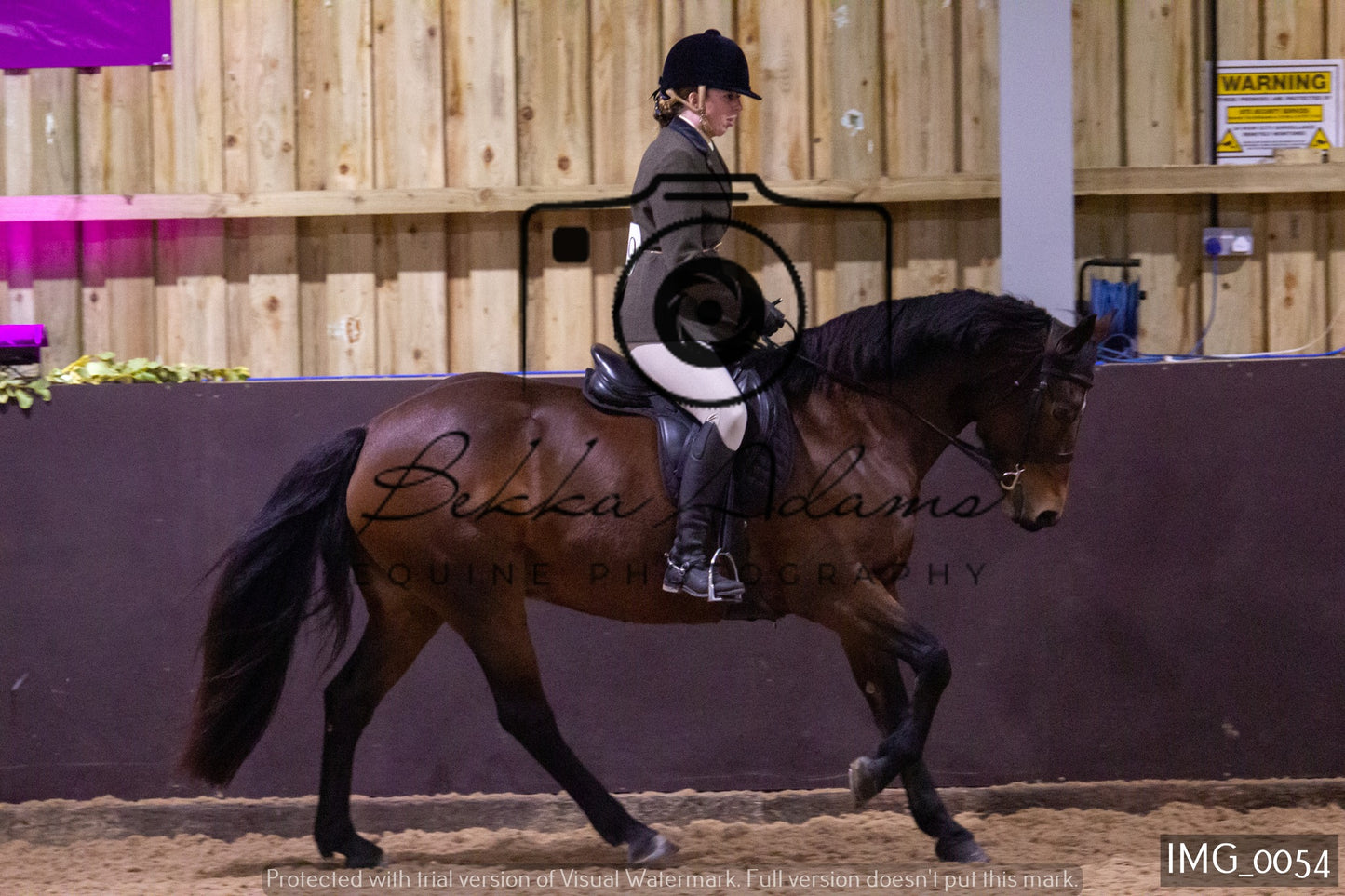 JHOYS Ridden Showing Group 1