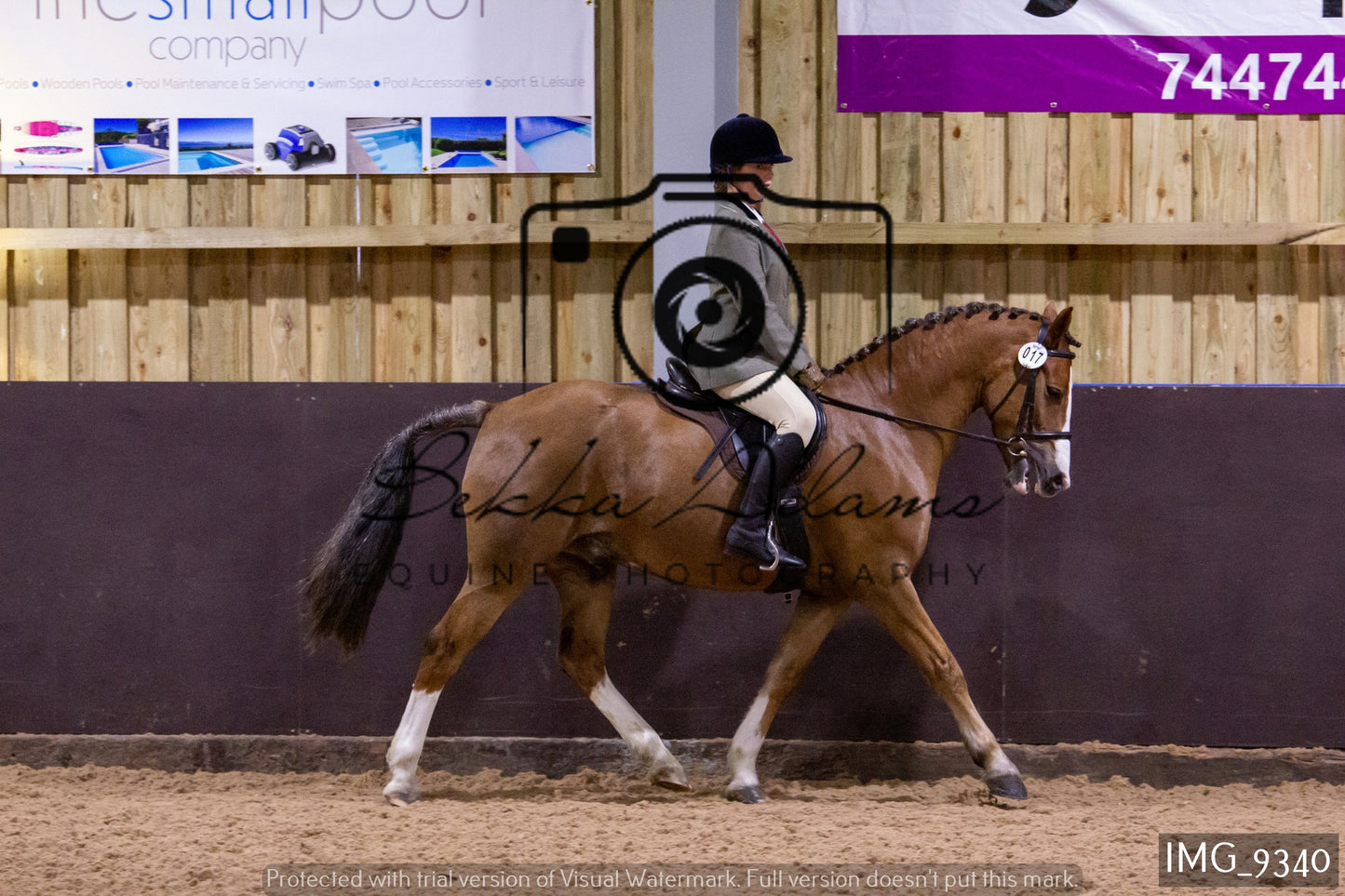 JHOYS Ridden Showing Group 1