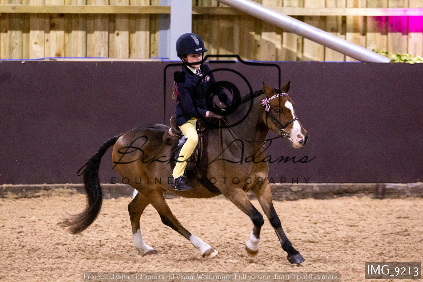 JHOYS Ridden Showing Group 1