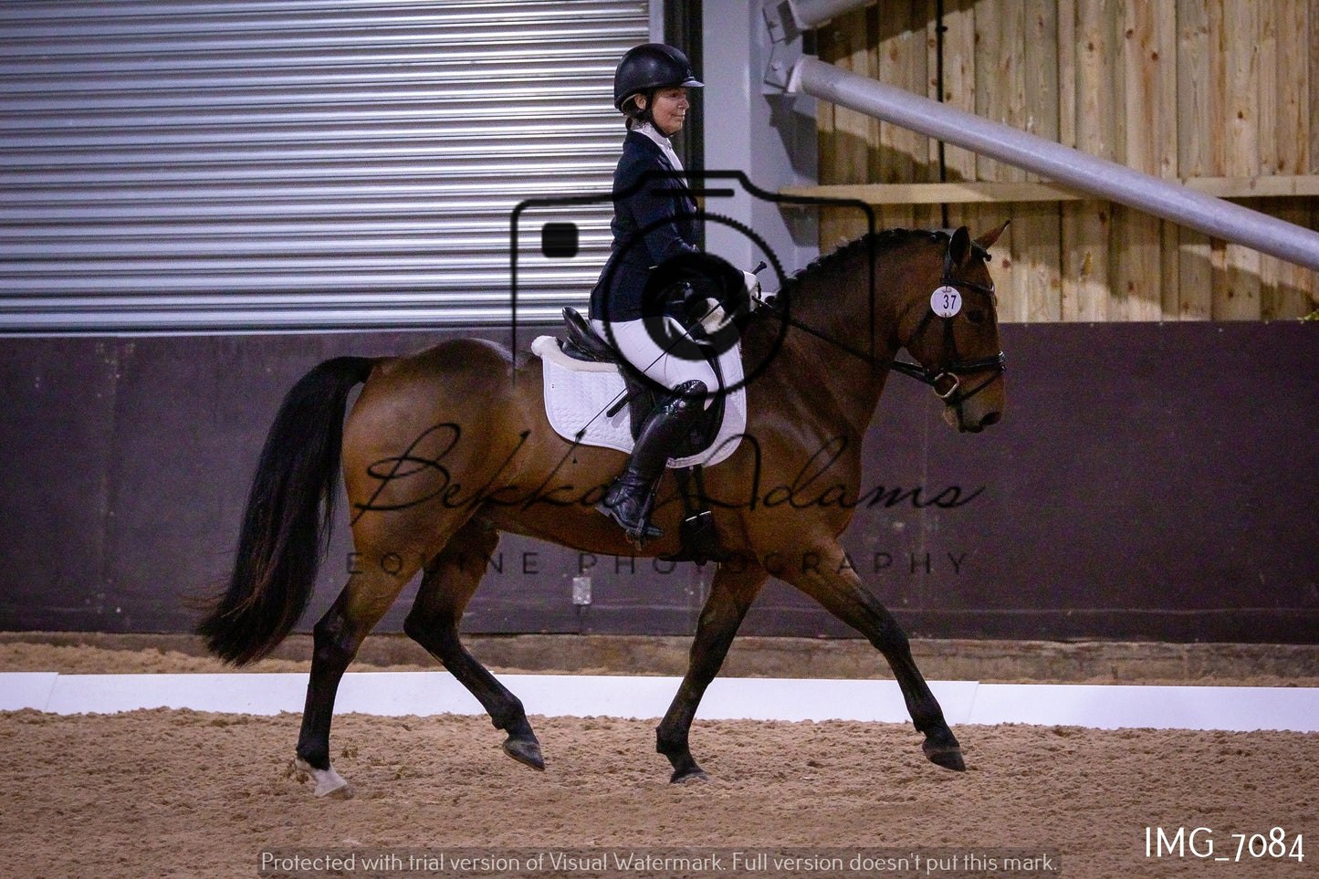 JHOYS Dressage