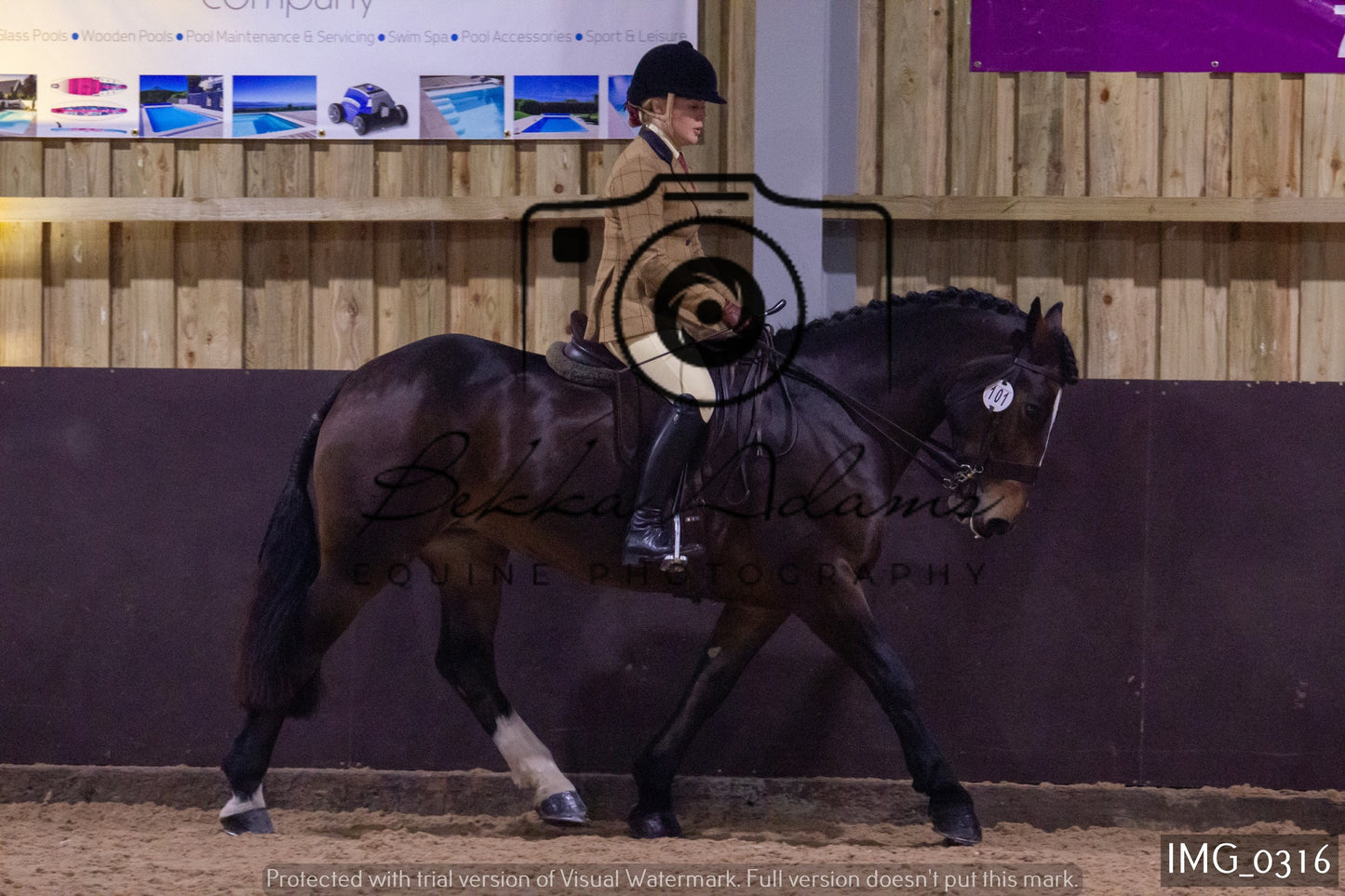 JHOYS Ridden Showing Group 1