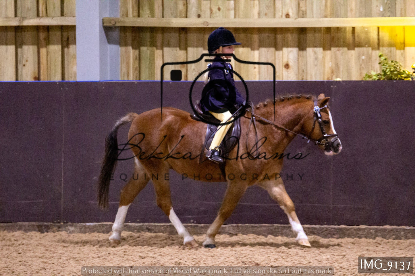 JHOYS Ridden Showing Group 1