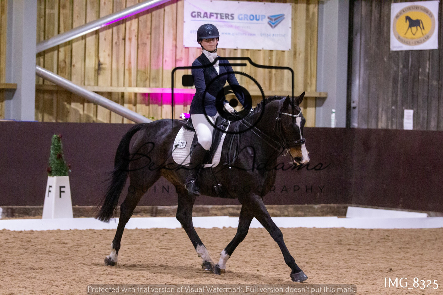 JHOYS Dressage